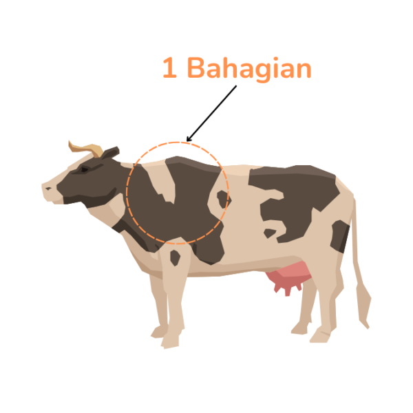 Lembu Korban - 1 Bahagian - Bayar Penuh