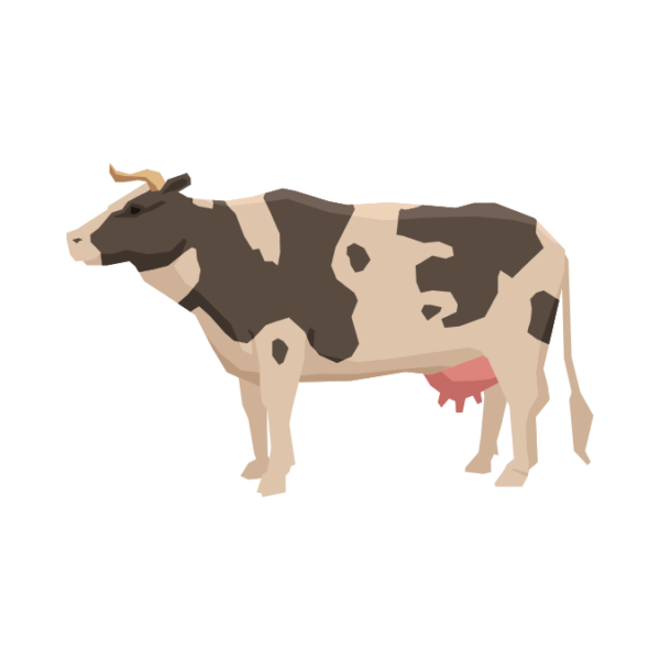 Lembu Korban - 1 Ekor